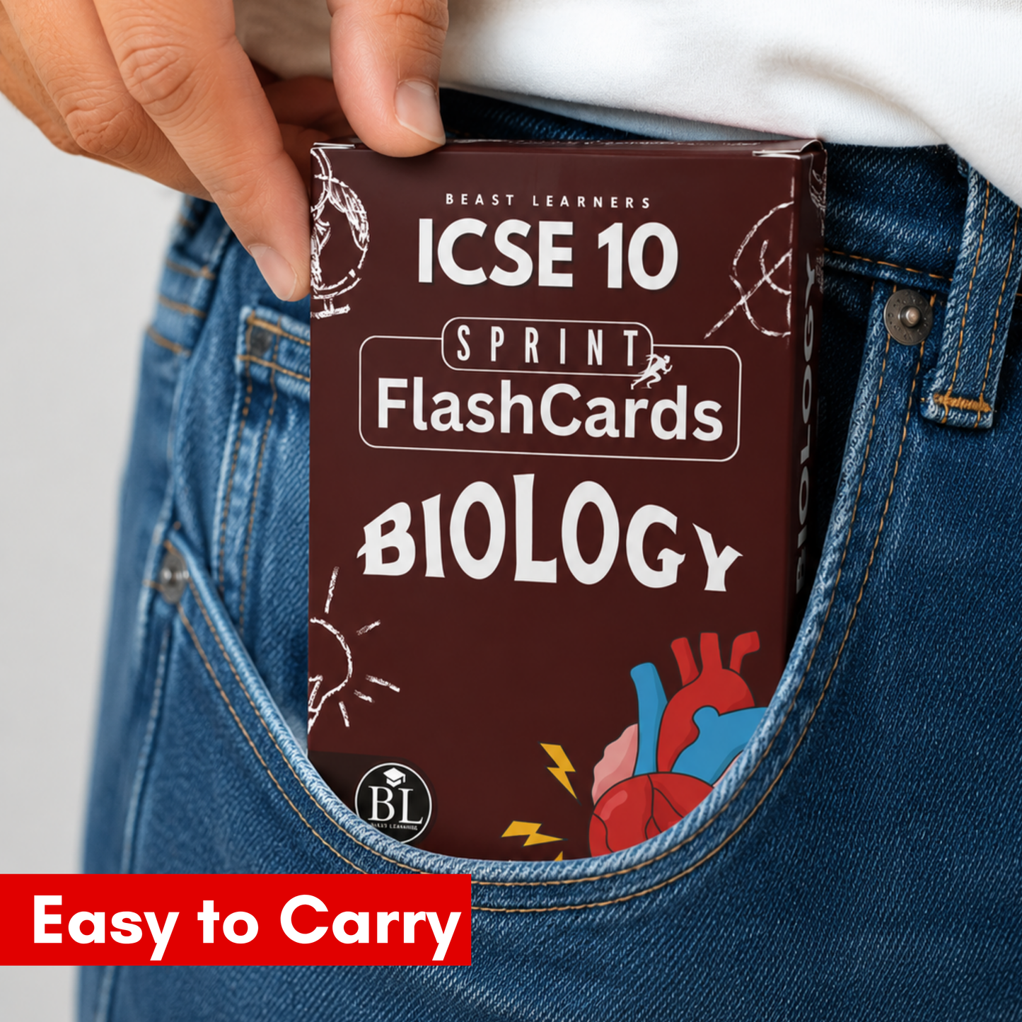 ICSE Class 10 Biology Sprint Flashcards