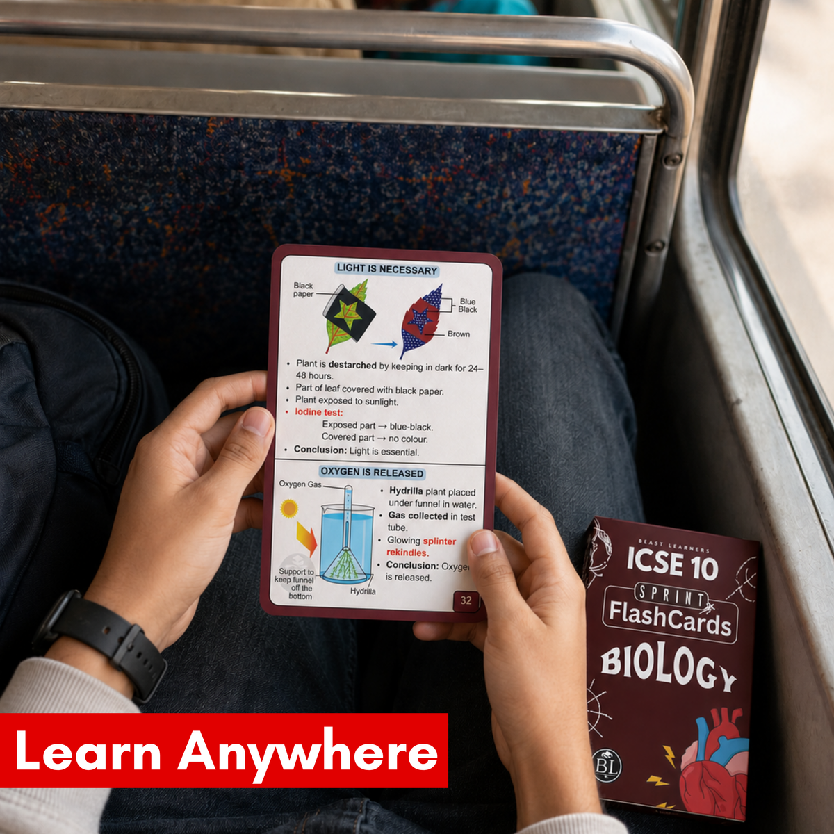 ICSE Class 10 Biology Sprint Flashcards